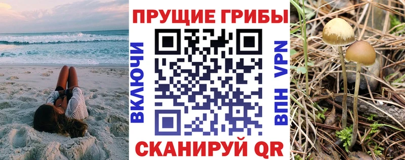 Галлюциногенные грибы MAGIC MUSHROOMS  blacksprut зеркало  Малоархангельск  закладка 