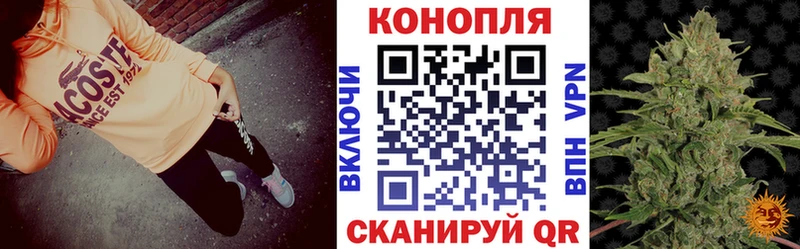 Каннабис MAZAR закладка Малоархангельск